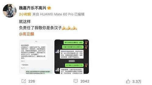 魏嘉爆料聊天记录视频,揭秘背后惊人真相  第2张
