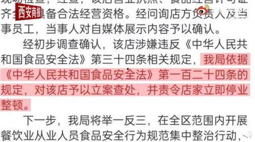 新黄瓜最新爆料视频,神秘功能引热议，网友直呼颠覆想象！