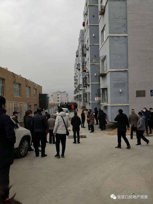 龙兴嘉苑爆料事件始末视频,揭秘始末与争议焦点  第3张