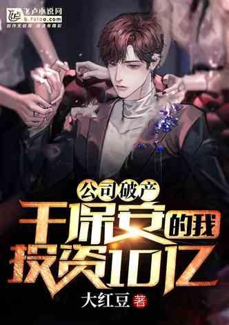 爆料帝视频小说,揭秘娱乐圈背后的秘密与真相