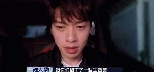 狗仔爆料明星最新视频,明星最新视频曝光，精彩瞬间引网友热议  第3张