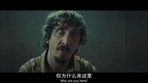 恐怖电影爆料视频,恐怖电影幕后爆料，惊心动魄的真相曝光  第2张