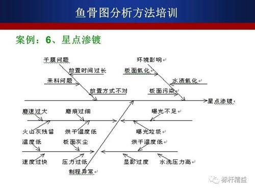 火条怎样爆料好吃视频大全,探寻全网美食视频的宝藏指南 第2张 火条怎样爆料好吃视频大全,探寻全网美食视频的宝藏指南 第2张