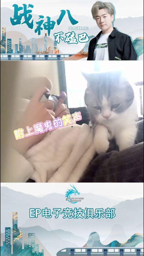 18按摩师在线观看,18按摩师在线观看，揭秘专业按摩技巧与放松之道  第2张