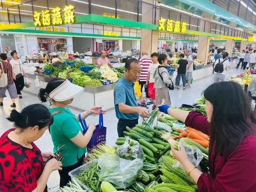 河南菜市场爆料新闻报道,新鲜食材与人间烟火气交织  第2张
