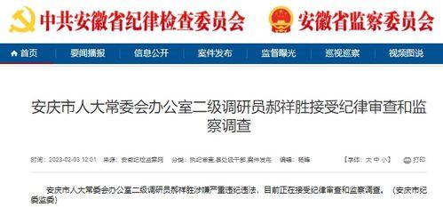 大皖新闻 爆料电话,神秘电话事件引发关注  第3张
