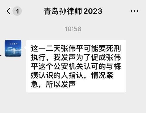 律师爆料梅姨视频,律师揭露惊人内幕  第3张