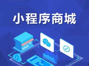 爆料新闻小程序开发,爆料新闻小程序开发背后的故事与技巧  第3张