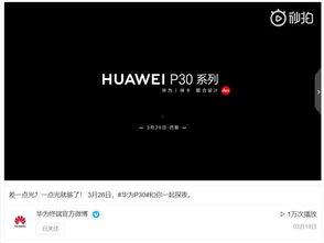 官方爆料下集视频,下集视频精彩预告，悬念重重引期待  第3张