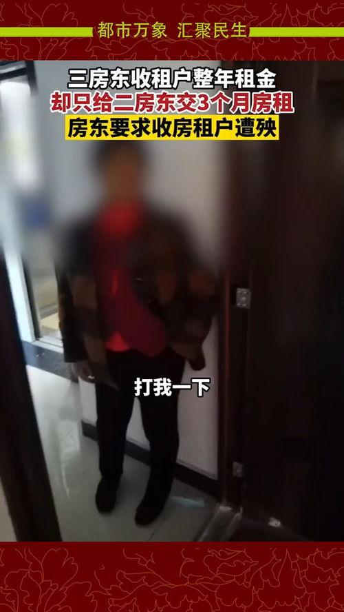 成都房东最新爆料新闻,揭秘租房市场新动态与困境