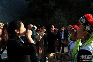 秘密 仪式在线观看,秘密仪式在线观看全解析  第2张
