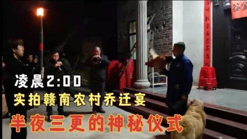 秘密 仪式在线观看,秘密仪式在线观看全解析  第3张