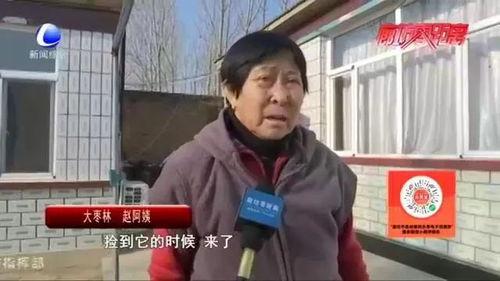 福州赵阿姨最新爆料新闻,最新民生事件背后真相揭秘  第3张