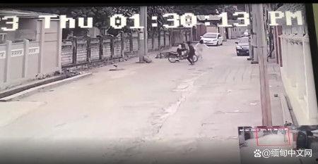 拒捕爆料抢劫案例视频,警方全力追捕嫌疑人 第3张 拒捕爆料抢劫案例视频,警方全力追捕嫌疑人 第3张