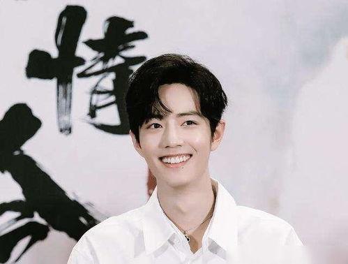 王思聪肖战最新爆料,揭秘娱乐圈背后的惊人真相! 第3张 王思聪肖战最新爆料,揭秘娱乐圈背后的惊人真相! 第3张