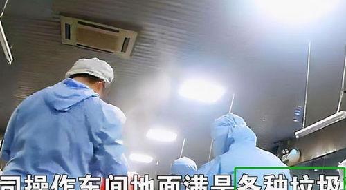 配餐爆料视频大全最新,视频大全带你领略美食新风尚