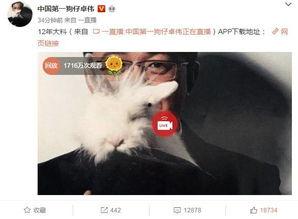 女生爆料出轨视频在线观看,女生出轨视频曝光,真相令人震惊! 第3张 女生爆料出轨视频在线观看,女生出轨视频曝光,真相令人震惊! 第3张
