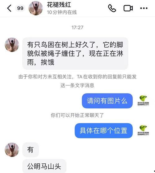 陈女士爆料最新新闻消息 第3张 陈女士爆料最新新闻消息 第3张