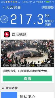 西瓜视频新闻爆料,最新热点事件深度解析