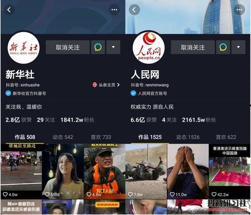 嘉兴网红爆料新闻报道视频 第3张 嘉兴网红爆料新闻报道视频 第3张
