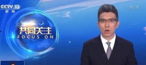 陈春花最新爆料消息直播,揭秘企业成功之道与行业变革趋势 第2张 陈春花最新爆料消息直播,揭秘企业成功之道与行业变革趋势 第2张