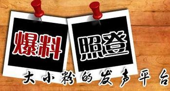 重庆爆料九龙坡新闻最新,最新爆料揭秘!  第1张 重庆爆料九龙坡新闻最新,最新爆料揭秘!  第1张