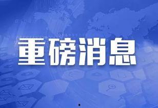 重磅新闻爆料怎么写内容,深度解析最新爆料背后的真相