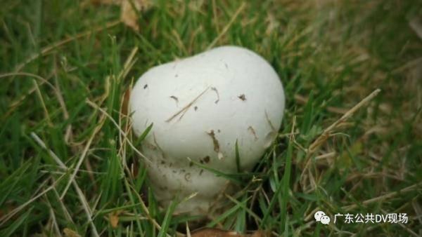 娱乐吃瓜酱送外卖的小波,娱乐吃瓜酱背后的故事 第3张 娱乐吃瓜酱送外卖的小波,娱乐吃瓜酱背后的故事 第3张