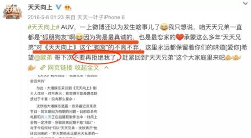 娱乐圈爆料400页内容,明星幕后真相与情感纠葛