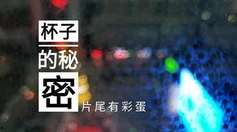 潍坊饭店爆料视频大全集,揭秘幕后真相与精彩瞬间  第3张