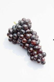 爆料提子视频大全集下载,一网打尽热门爆料瞬间  第3张