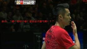 杨晨大神爆料王小羽视频,王小羽视频背后的惊人真相  第2张