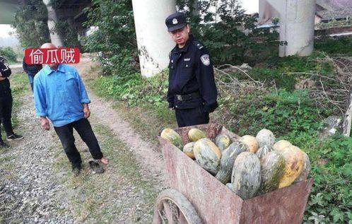 景区吃瓜网红事件视频,一场网络狂欢背后的争议与反思 第1张 景区吃瓜网红事件视频,一场网络狂欢背后的争议与反思 第1张