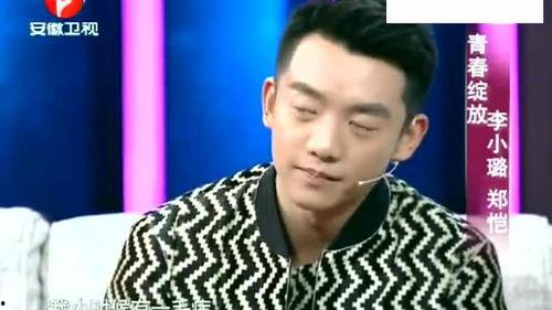 郑恺爆料静姐视频播放全集,一场视觉与情感的盛宴  第2张