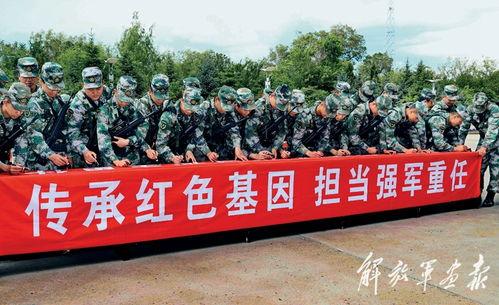 深圳市民阿军最新爆料新闻,最新重大新闻事件揭秘 第3张 深圳市民阿军最新爆料新闻,最新重大新闻事件揭秘 第3张