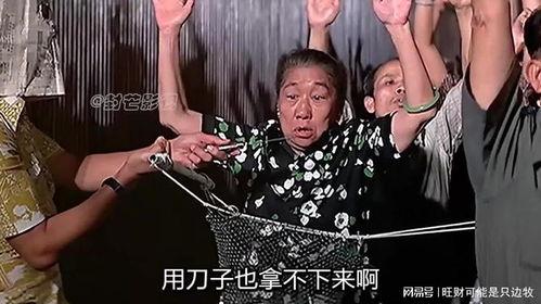 半斤八两在线观看,一场笑料百出的喜剧盛宴 第3张 半斤八两在线观看,一场笑料百出的喜剧盛宴 第3张